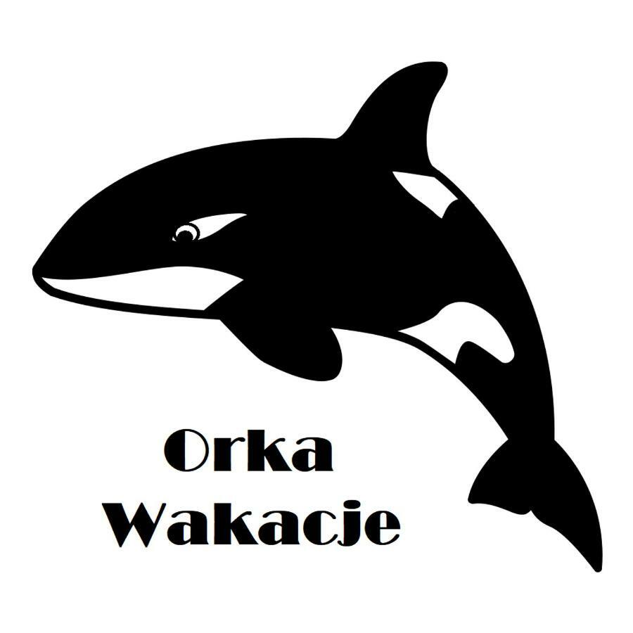 Orka Wakacje Дзьвіжино Екстер'єр фото